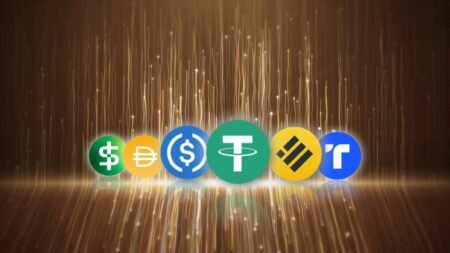 Was ist ein Stablecoin und wie funktionieren Stablecoins auf der Blockchain? Was ist ein Stablecoin und wie kann man ihn einsetzen?
